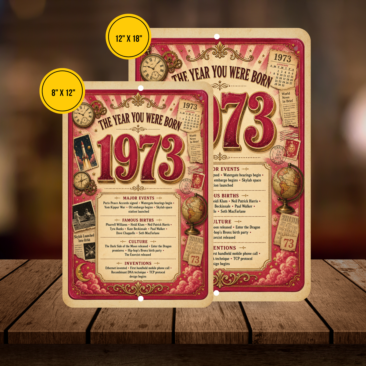 1973 The Year You Were Born Aluminum Sign – Vintage Birthday & Anniversary Gift