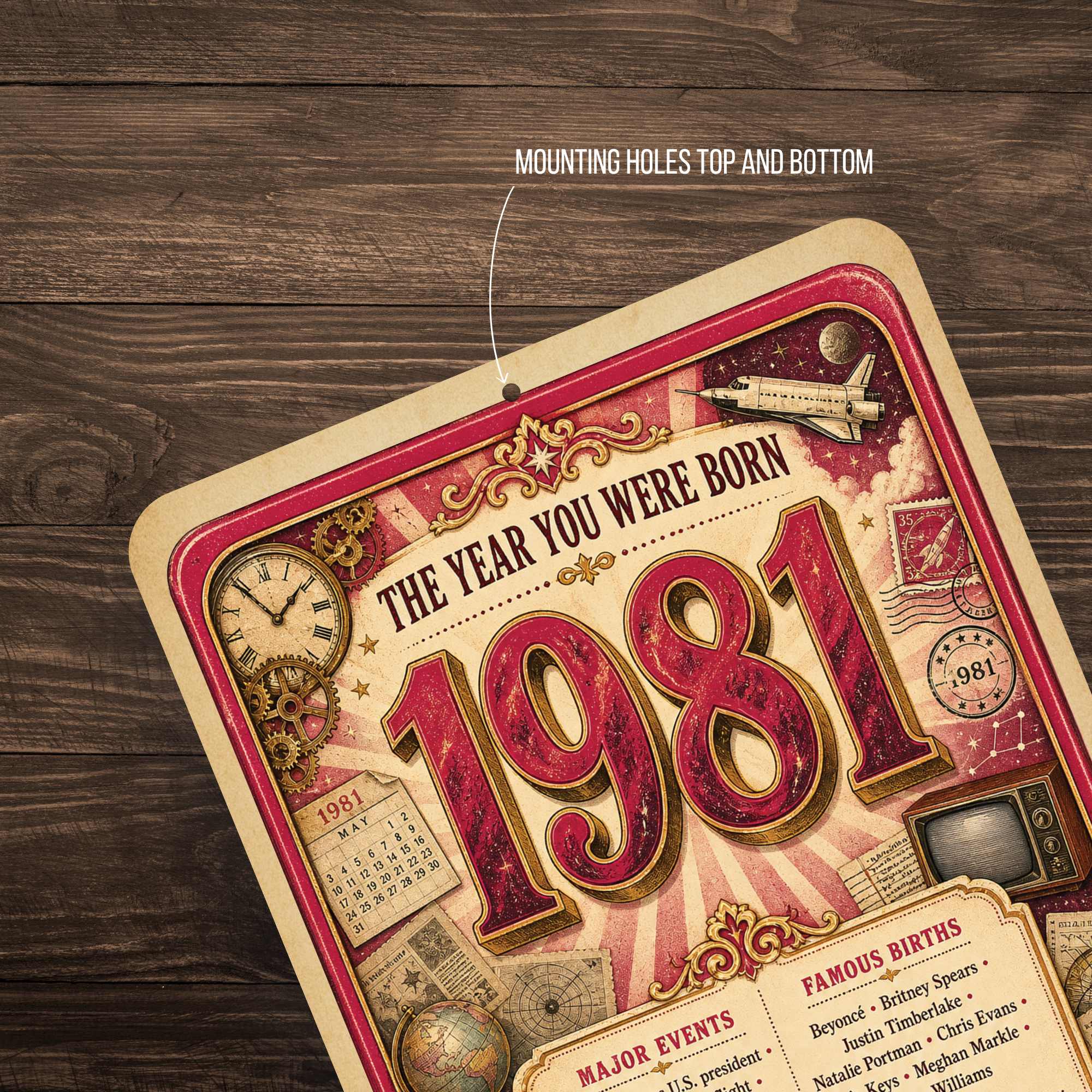 1981 The Year You Were Born Aluminum Sign – Vintage Birthday & Anniversary Gift