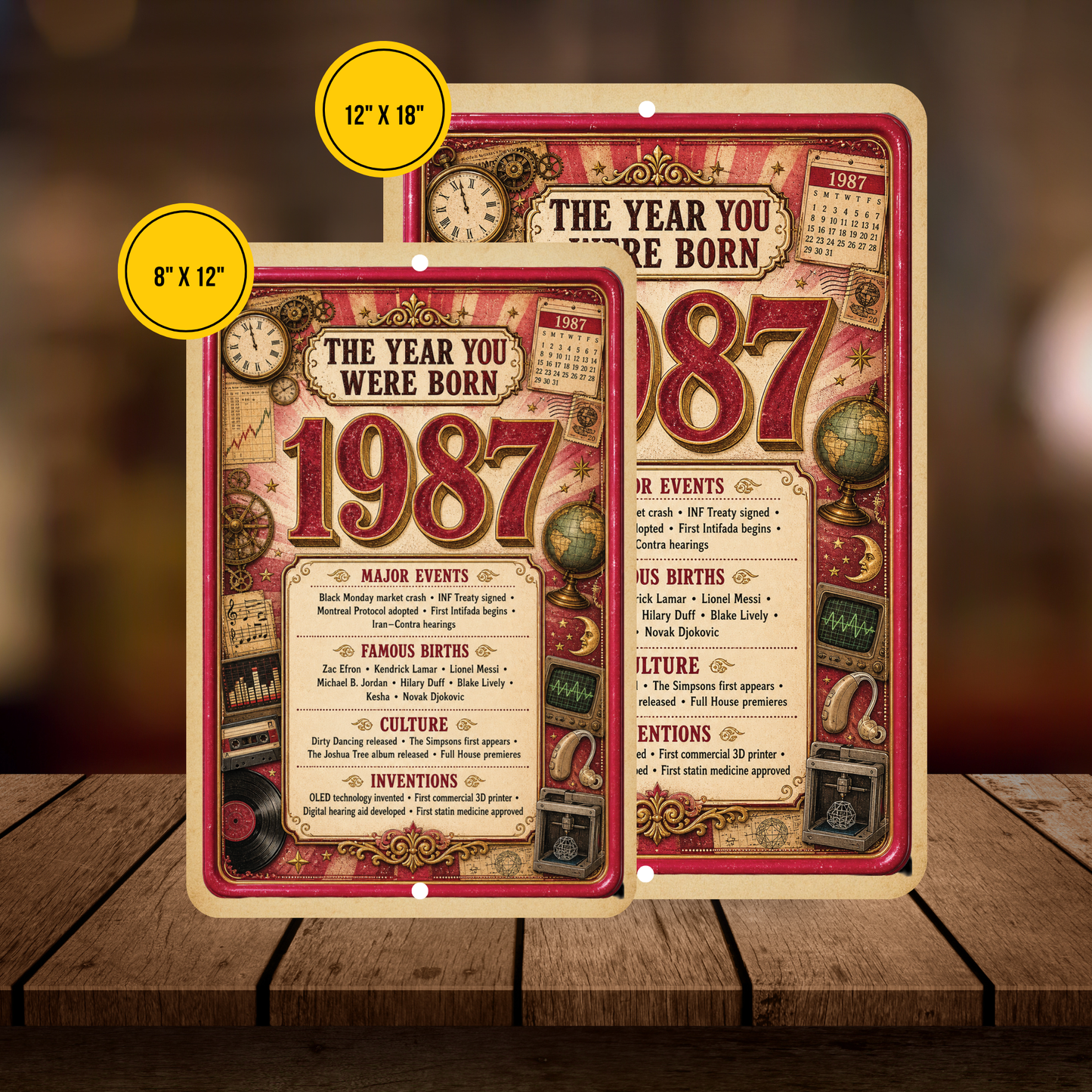 1987 The Year You Were Born Aluminum Sign – Vintage Birthday & Anniversary Gift