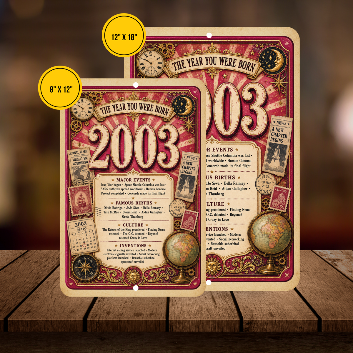 2003 The Year You Were Born Aluminum Sign – Vintage Birthday & Anniversary Gift