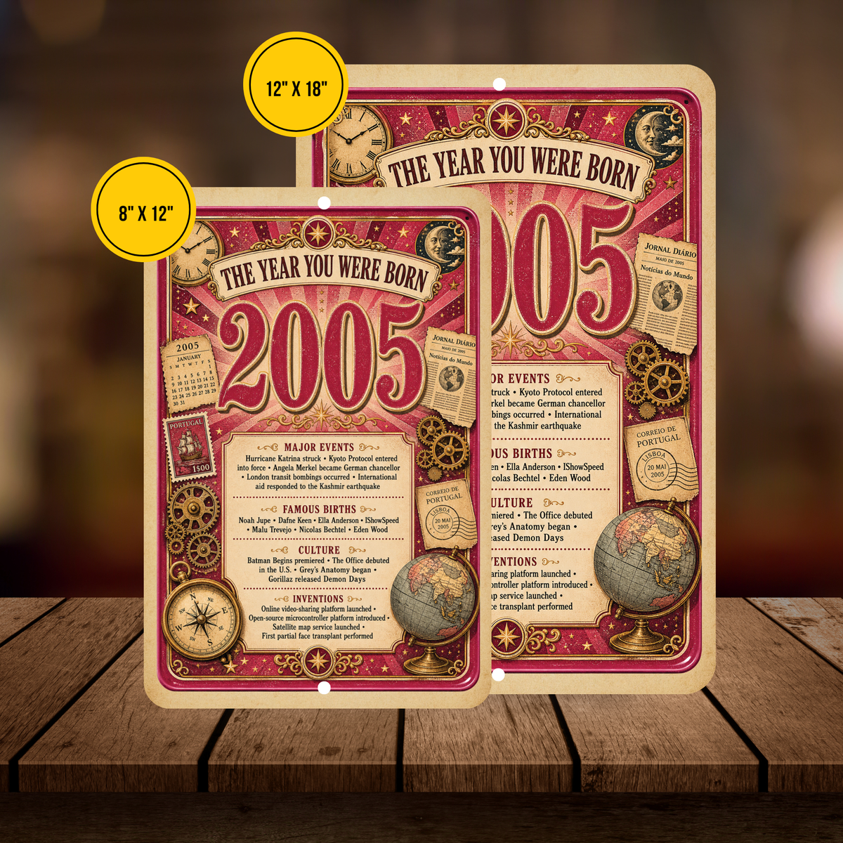 2005 The Year You Were Born Aluminum Sign – Vintage Birthday & Anniversary Gift