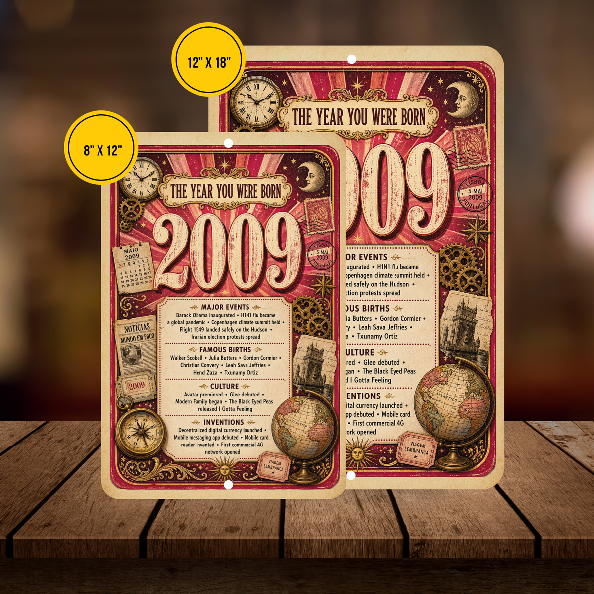 2009 The Year You Were Born Aluminum Sign – Vintage Birthday & Anniversary Gift