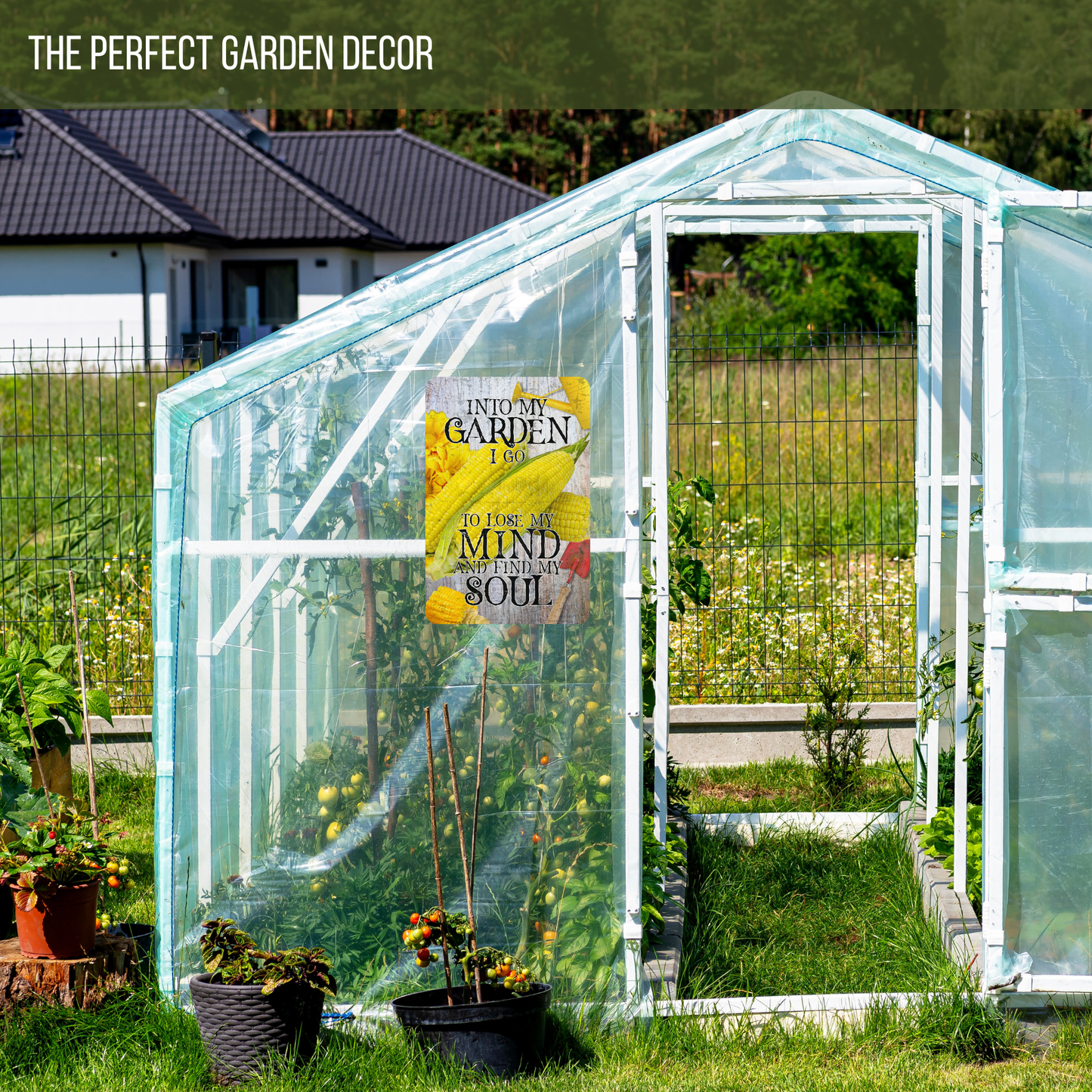 Into My Garden I Go Corn Aluminum Garden Sign