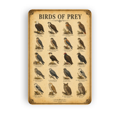Birds of Prey Sign