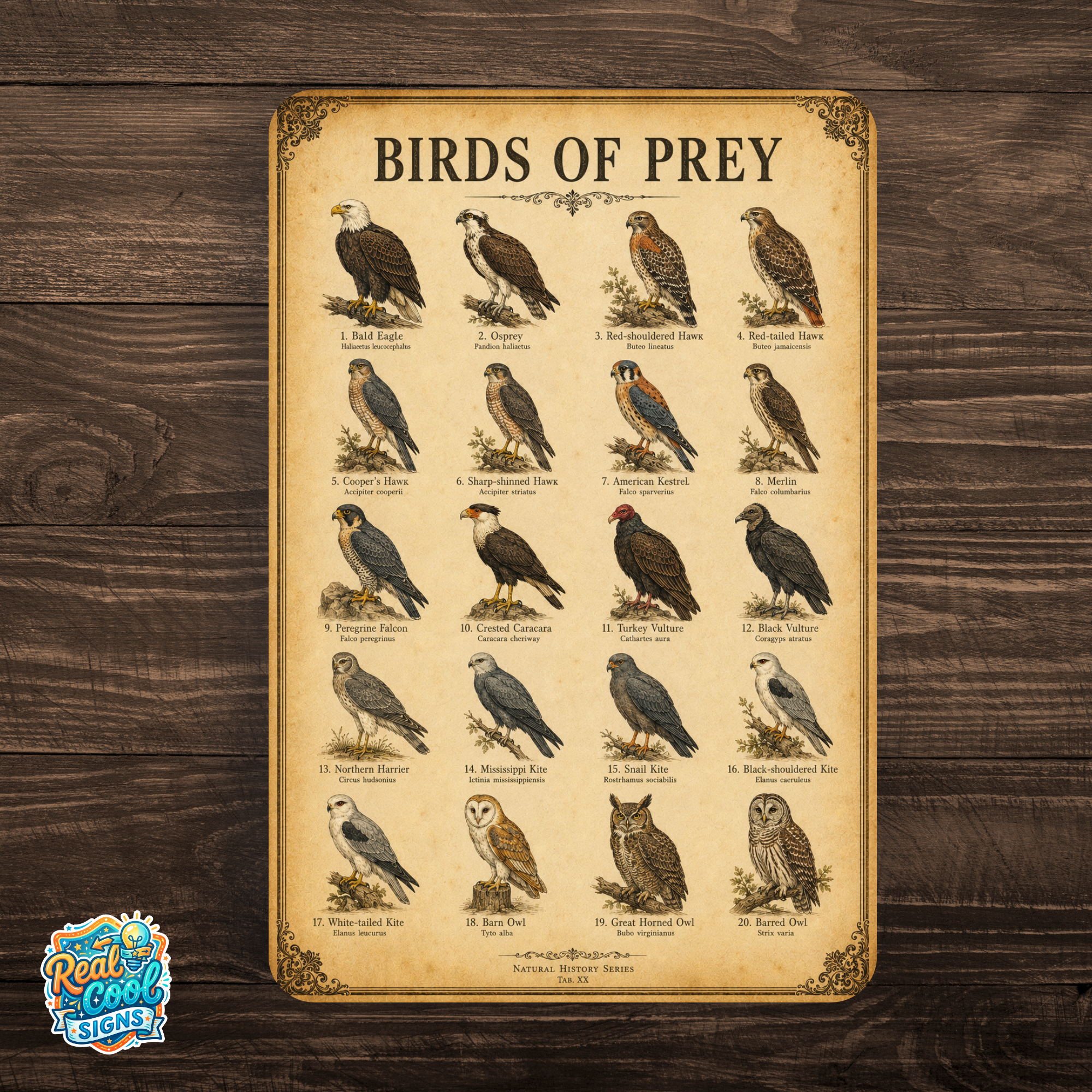 Birds of Prey Sign