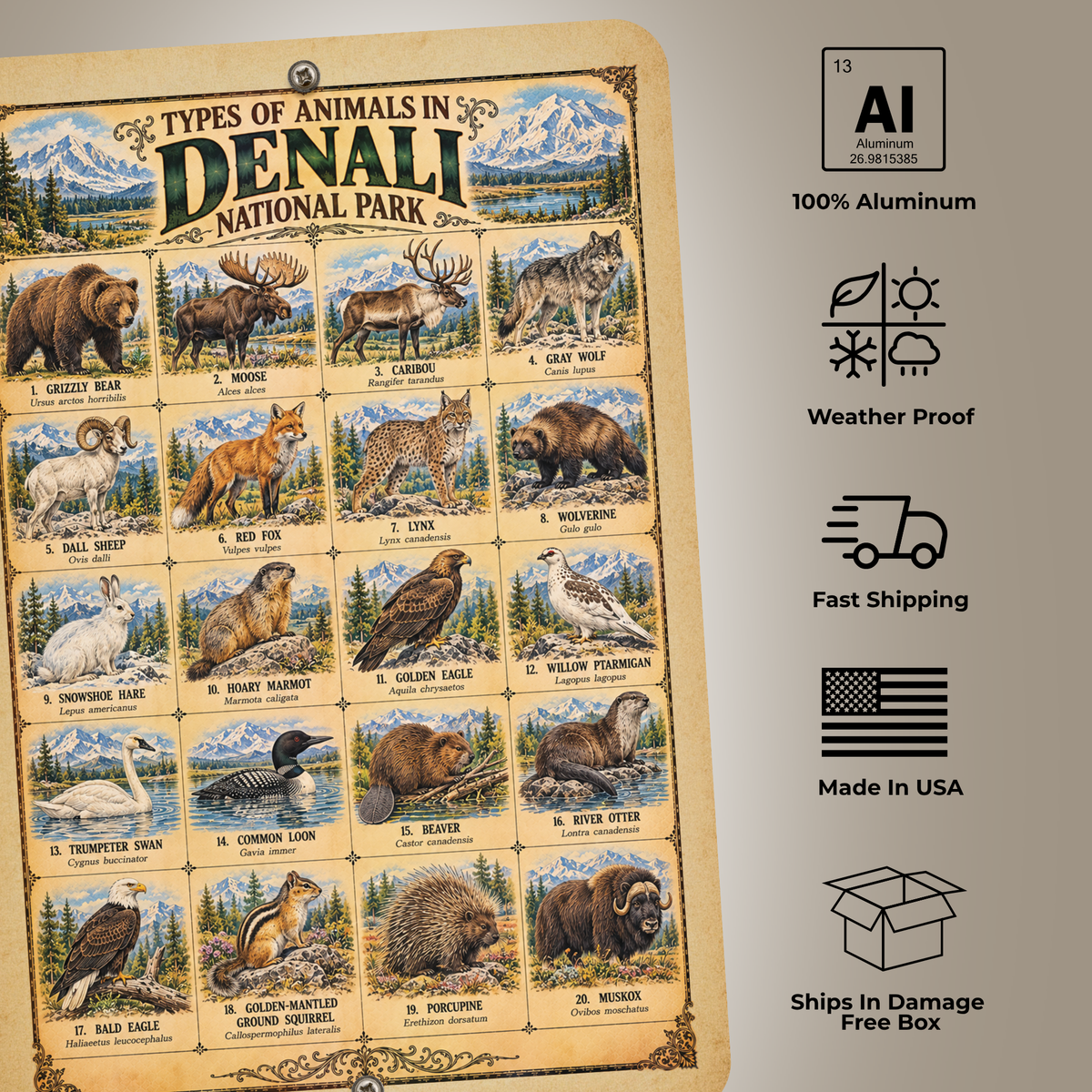 Animals of Denali National Park – Vintage Wildlife Identification Metal Sign
