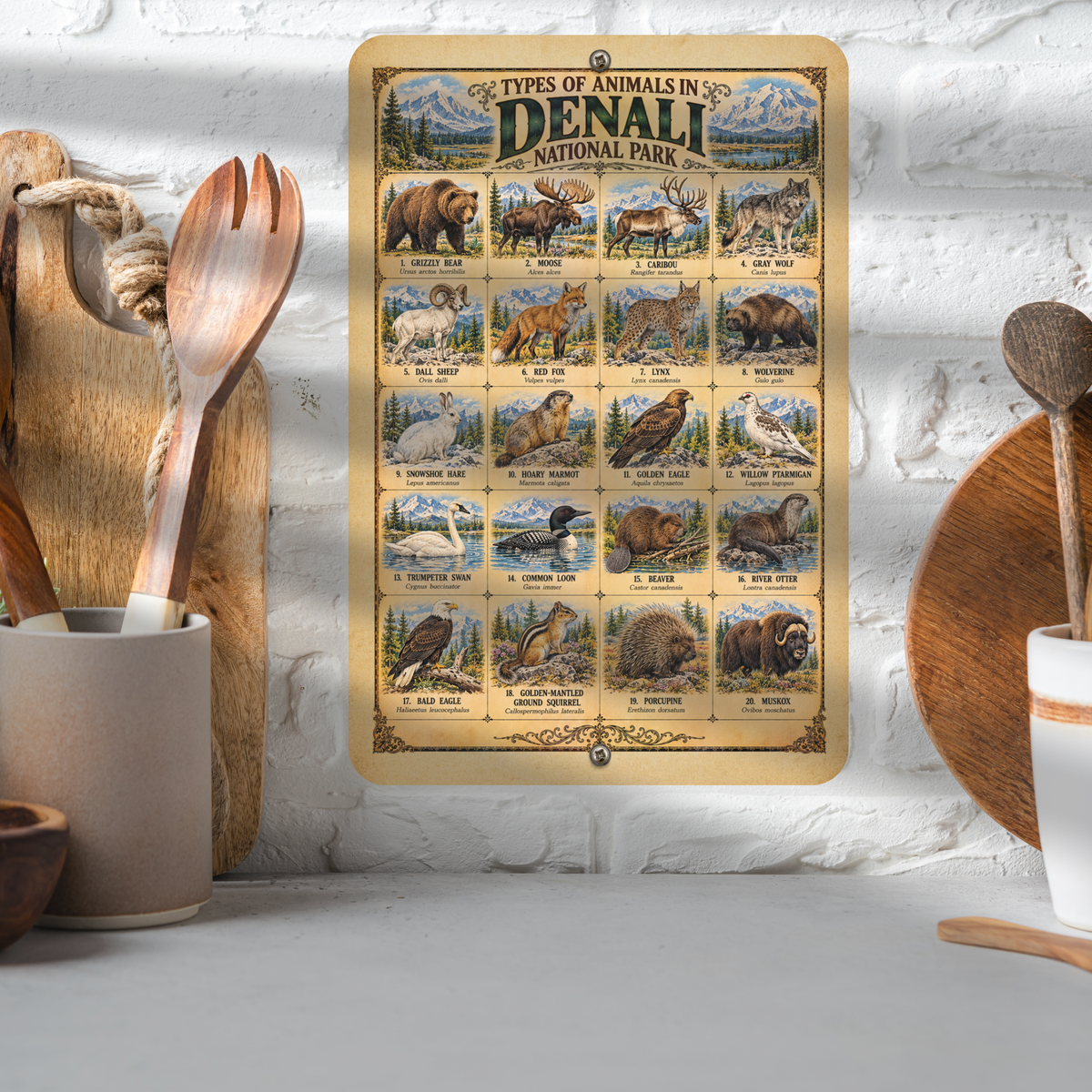 Animals of Denali National Park – Vintage Wildlife Identification Metal Sign