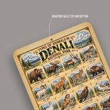 Animals of Denali National Park – Vintage Wildlife Identification Metal Sign