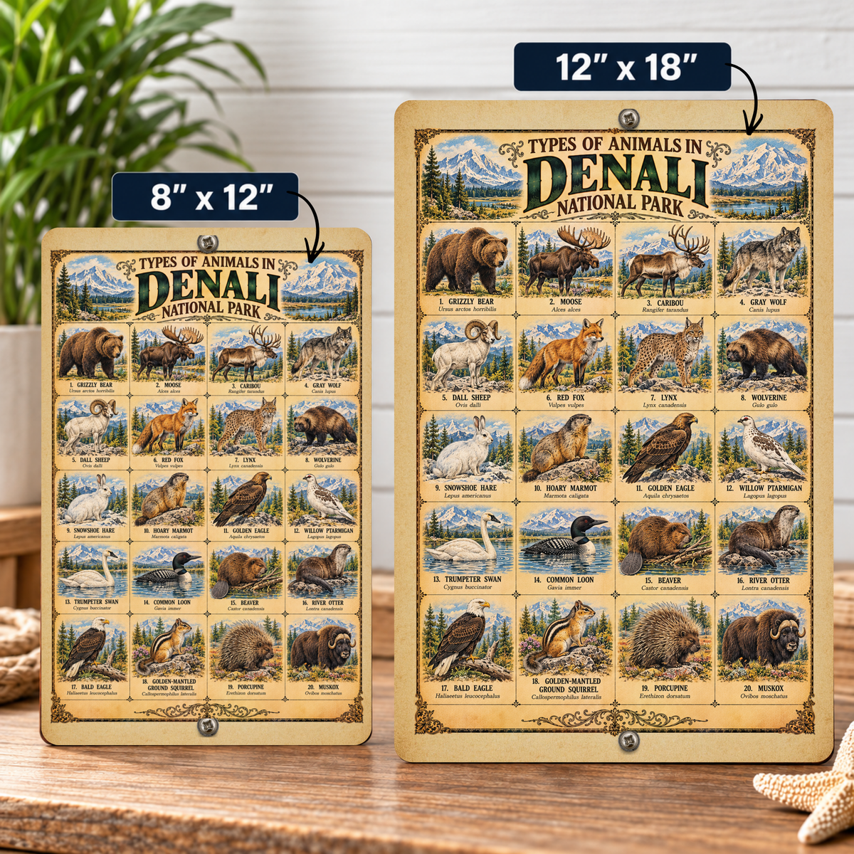 Animals of Denali National Park – Vintage Wildlife Identification Metal Sign