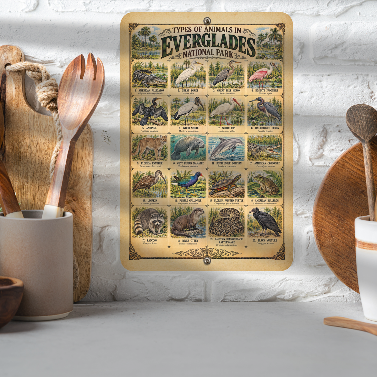 Animals of Everglades National Park – Vintage Wildlife Identification Metal Sign