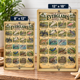 Animals of Everglades National Park – Vintage Wildlife Identification Metal Sign