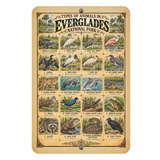 Animals of Everglades National Park – Vintage Wildlife Identification Metal Sign