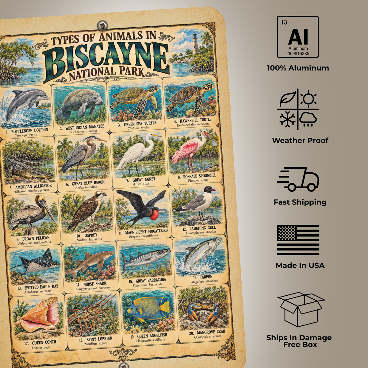 Animals of Biscayne National Park – Vintage Wildlife Identification Metal Sign