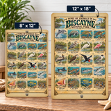 Animals of Biscayne National Park – Vintage Wildlife Identification Metal Sign