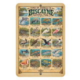 Animals of Biscayne National Park – Vintage Wildlife Identification Metal Sign