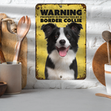 Warning Border Collie Aluminum Sign