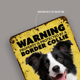 Warning Border Collie Aluminum Sign