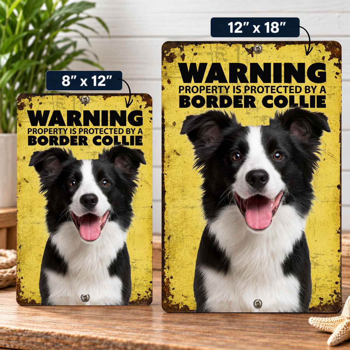 Warning Border Collie Aluminum Sign