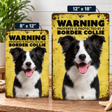 Warning Border Collie Aluminum Sign