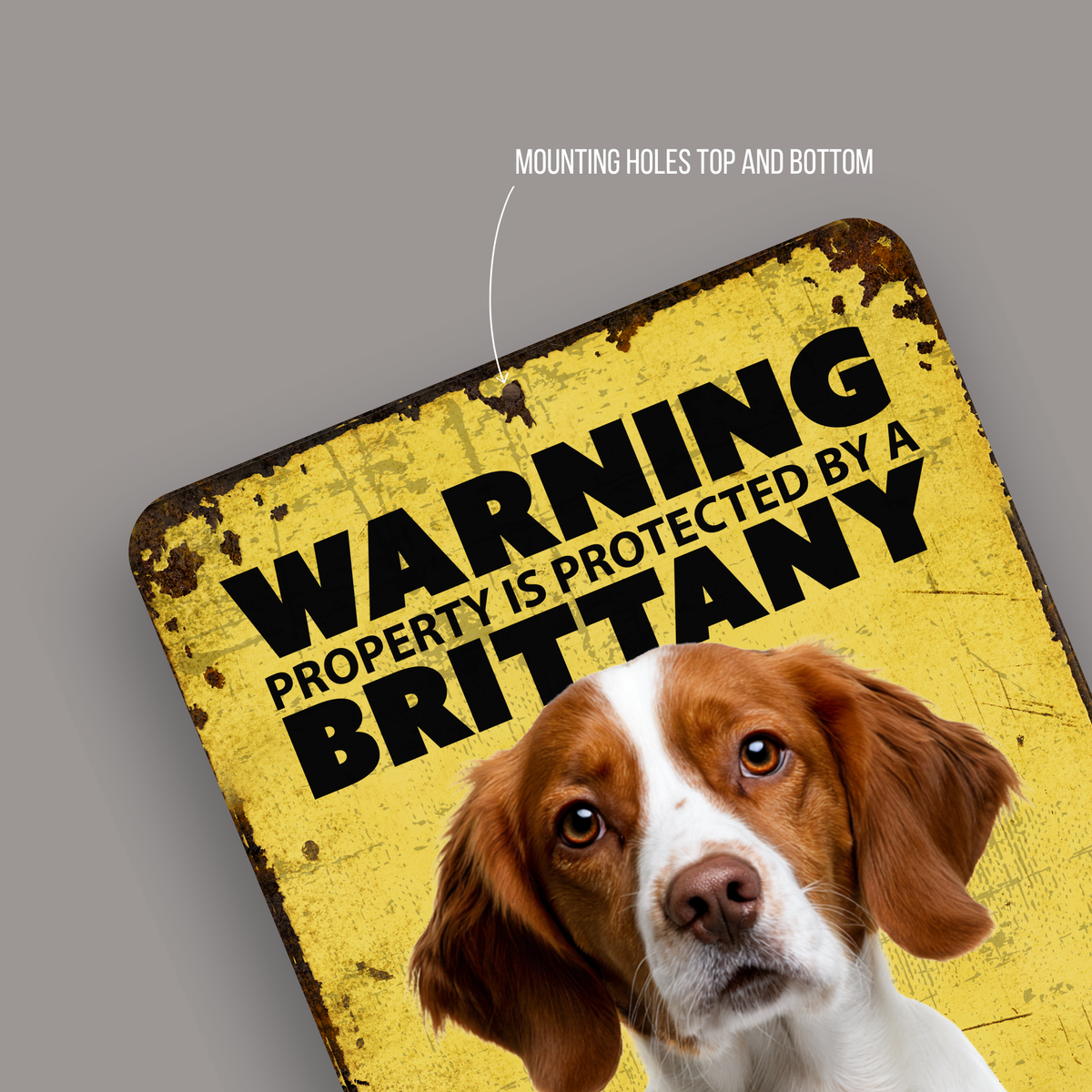 Warning Brittany Aluminum Sign