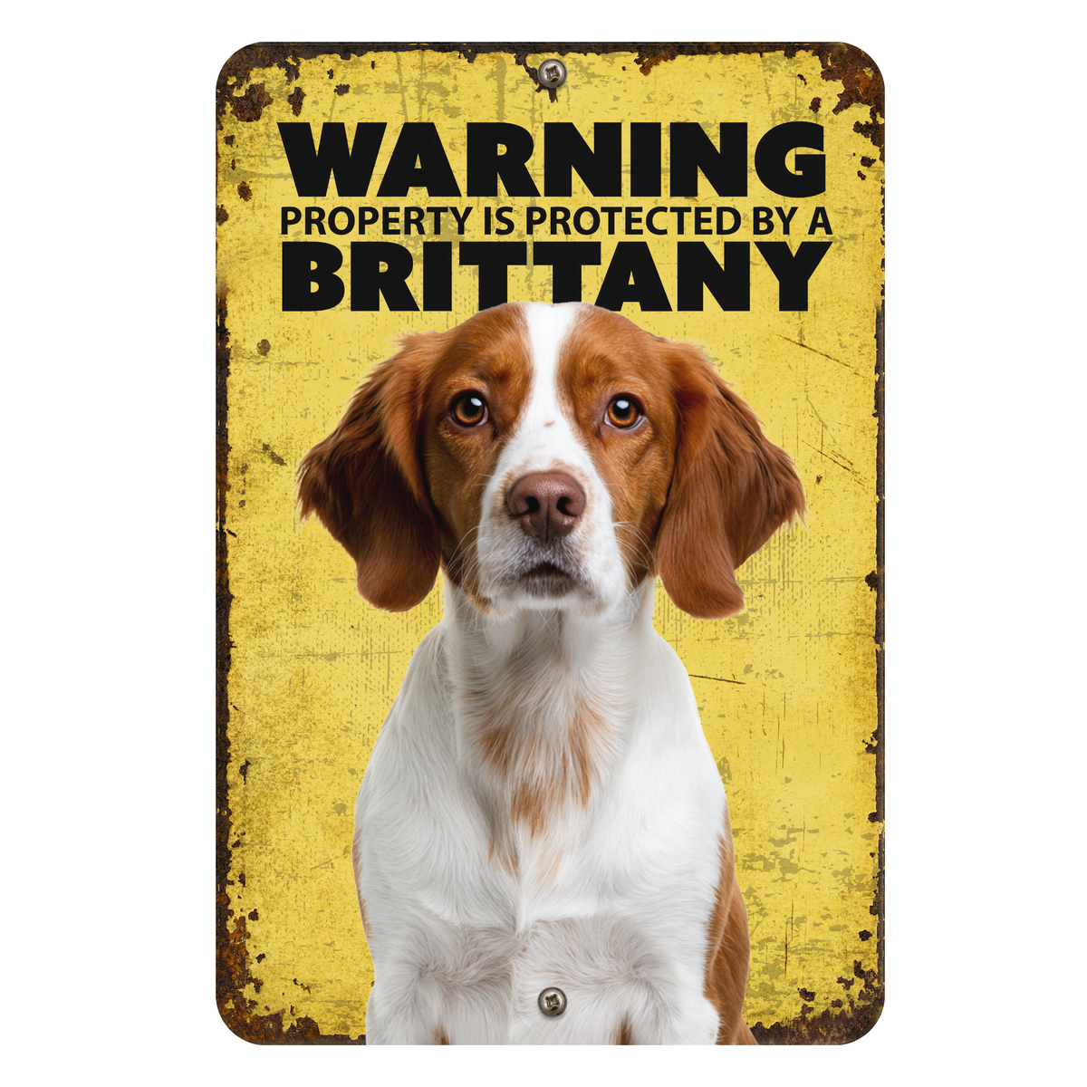 Warning Brittany Aluminum Sign