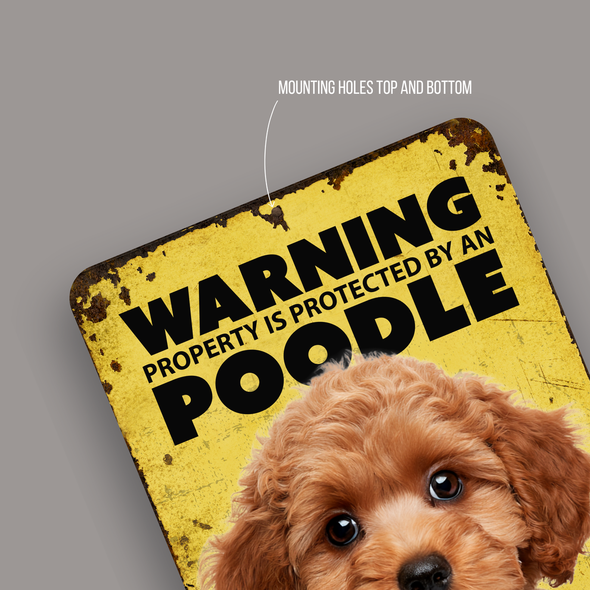 Warning Poodle Aluminum Sign