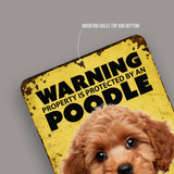 Warning Poodle Aluminum Sign