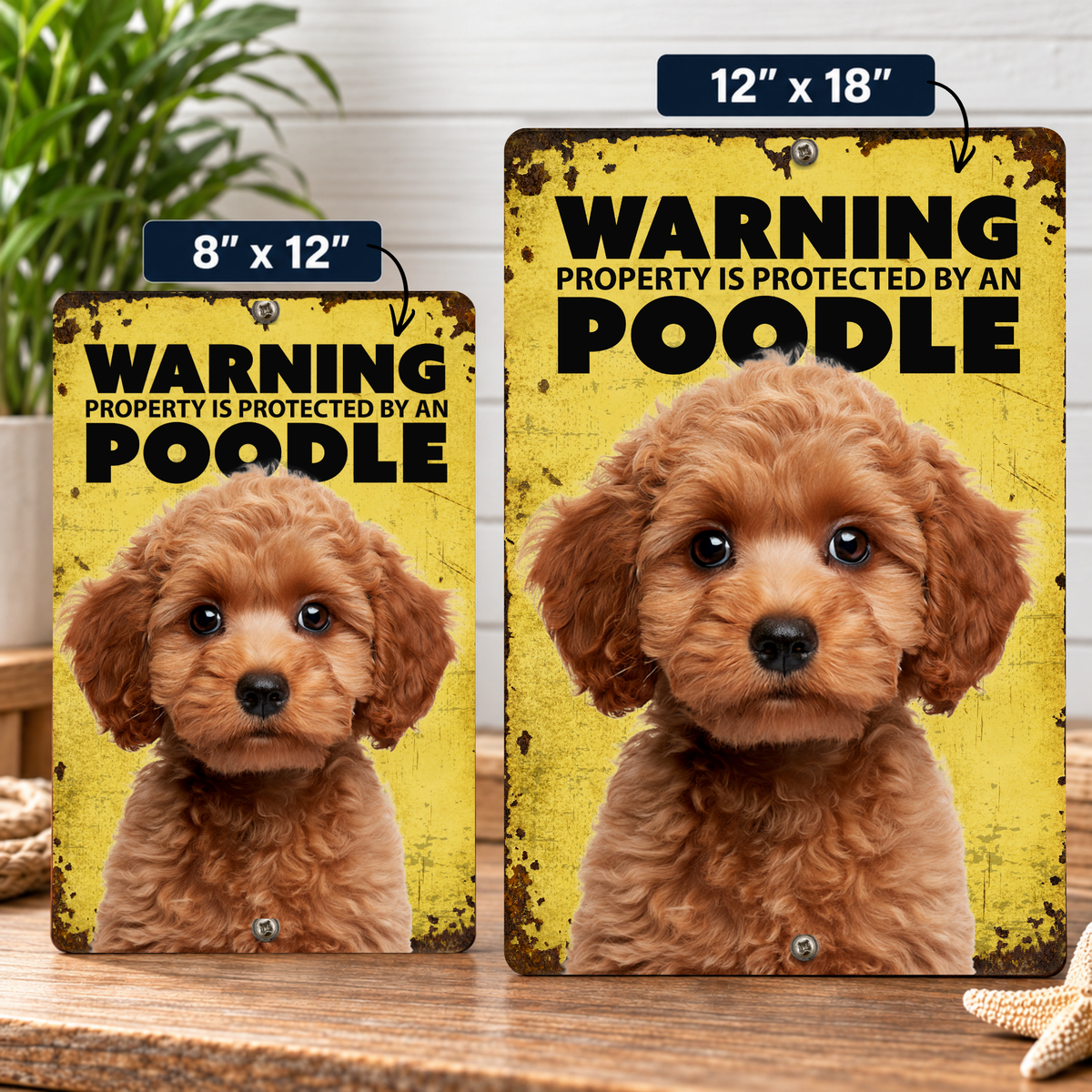 Warning Poodle Aluminum Sign