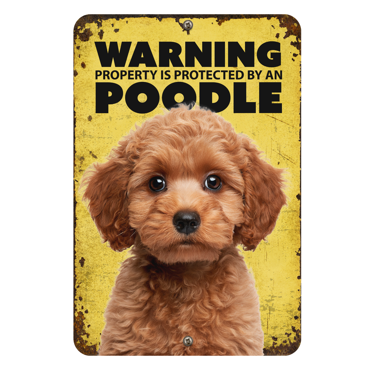 Warning Poodle Aluminum Sign