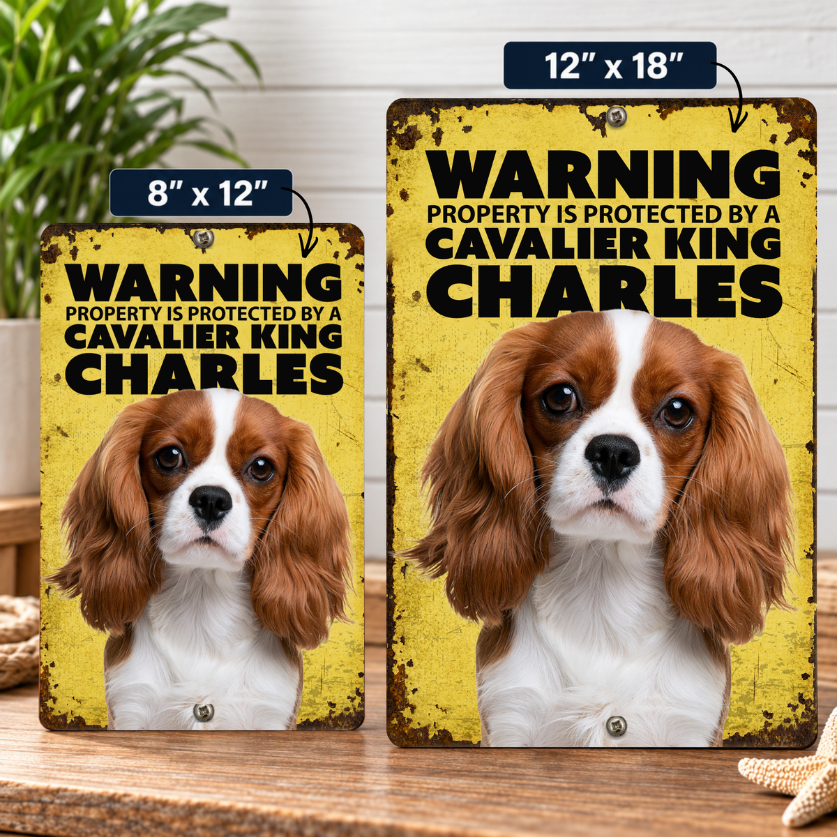 Warning Cavalier King Charles Aluminum Sign