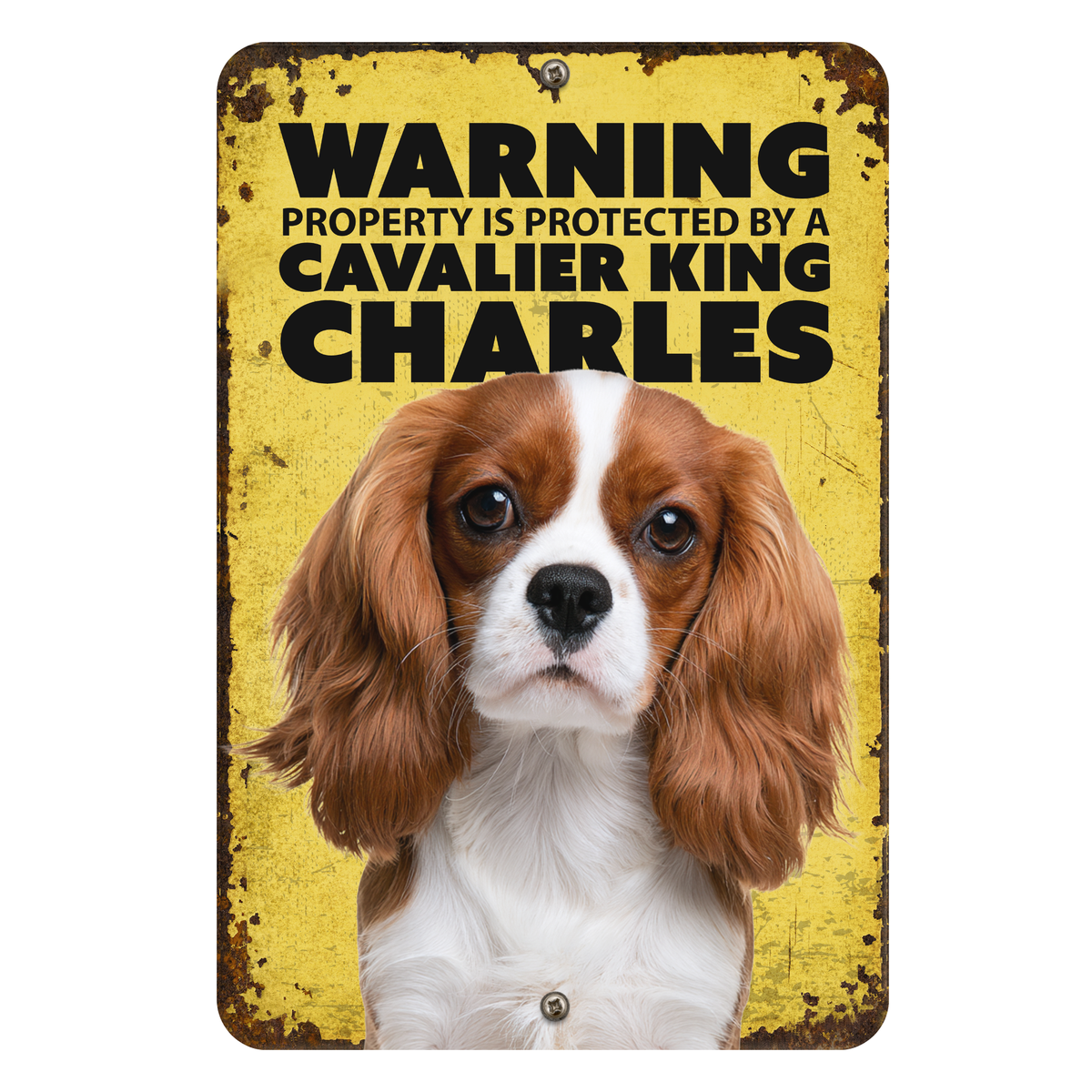 Warning Cavalier King Charles Aluminum Sign