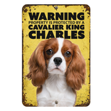 Warning Cavalier King Charles Aluminum Sign
