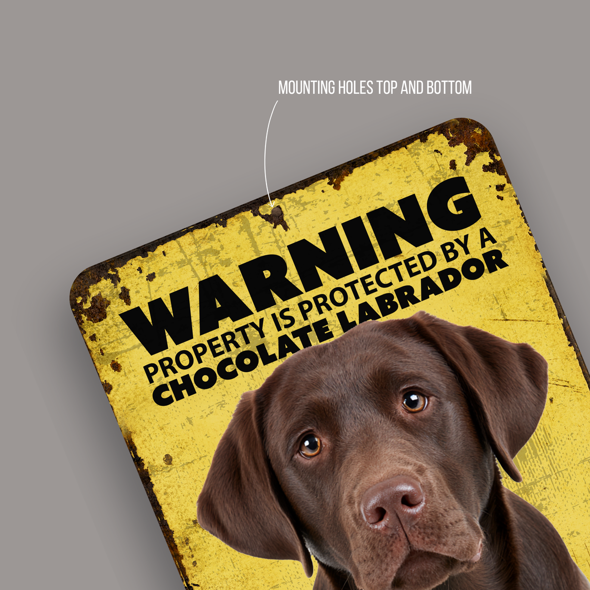 Warning Chocolate Labrador Aluminum Sign