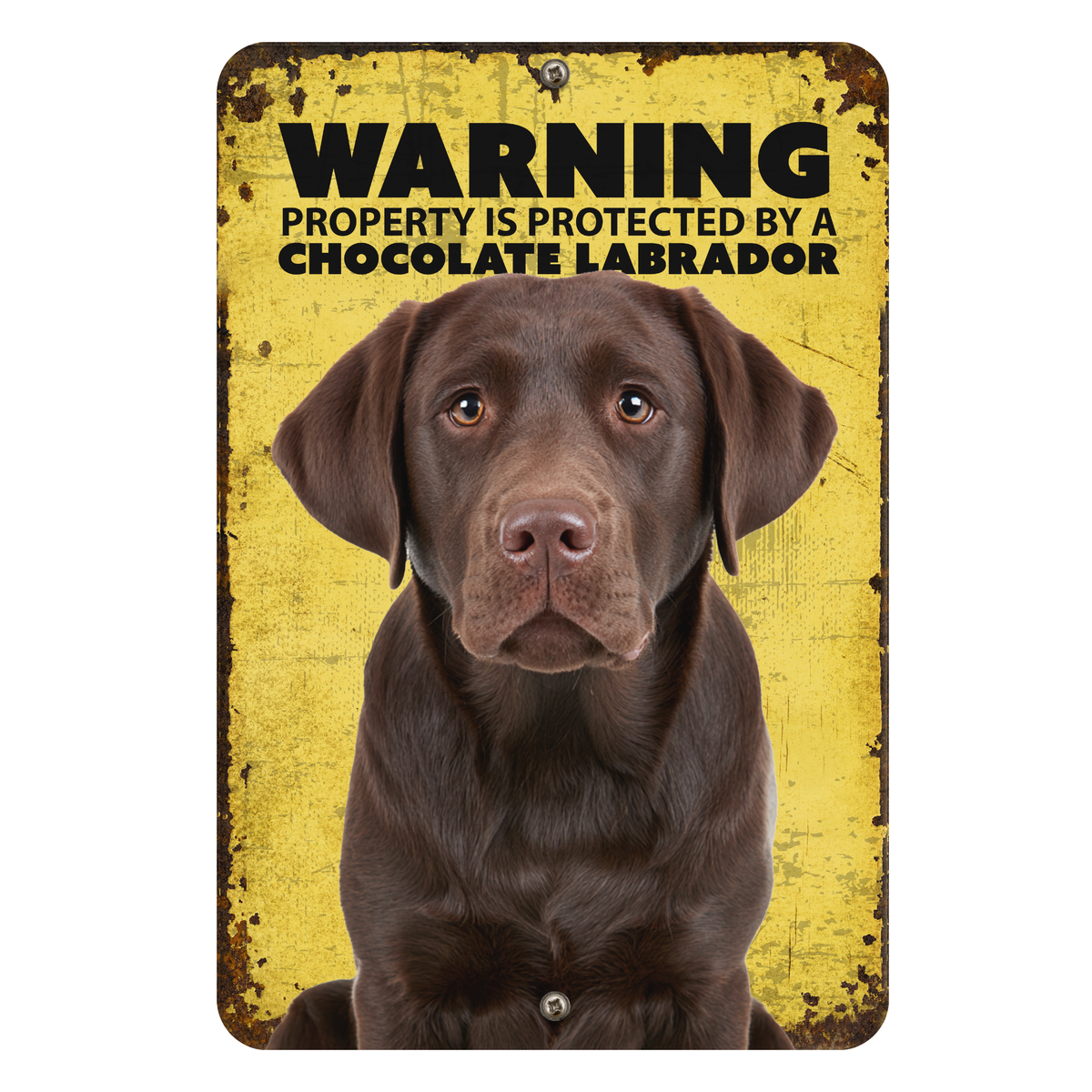 Warning Chocolate Labrador Aluminum Sign