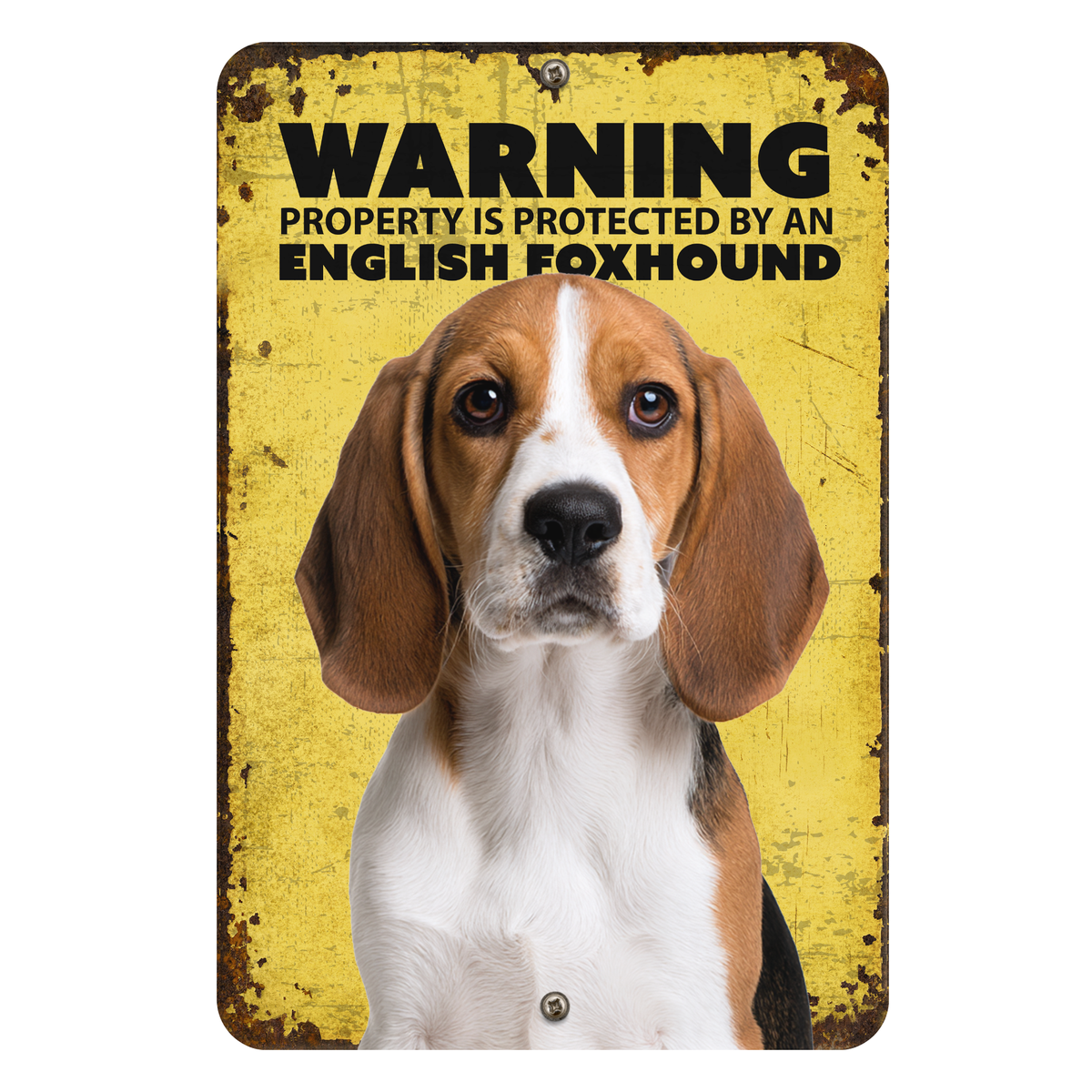 Warning English Foxhound Aluminum Sign