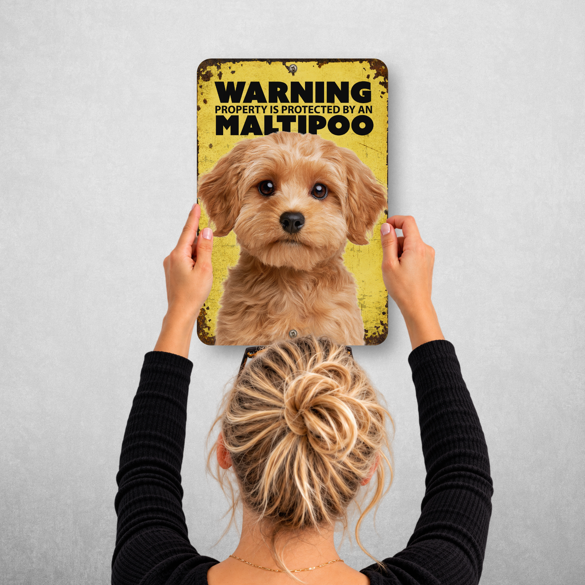 Warning Maltipoo Aluminum Sign