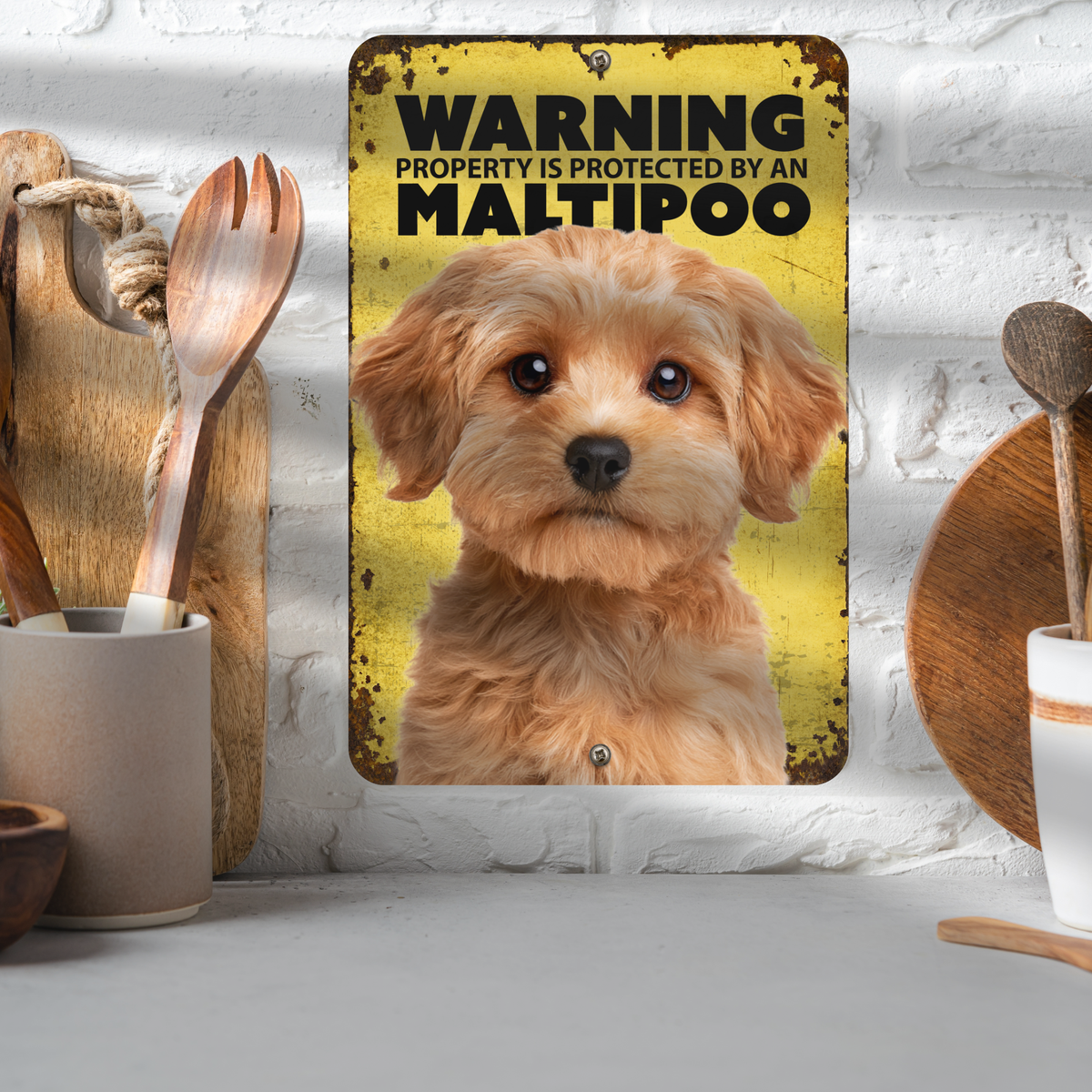 Warning Maltipoo Aluminum Sign