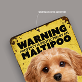 Warning Maltipoo Aluminum Sign
