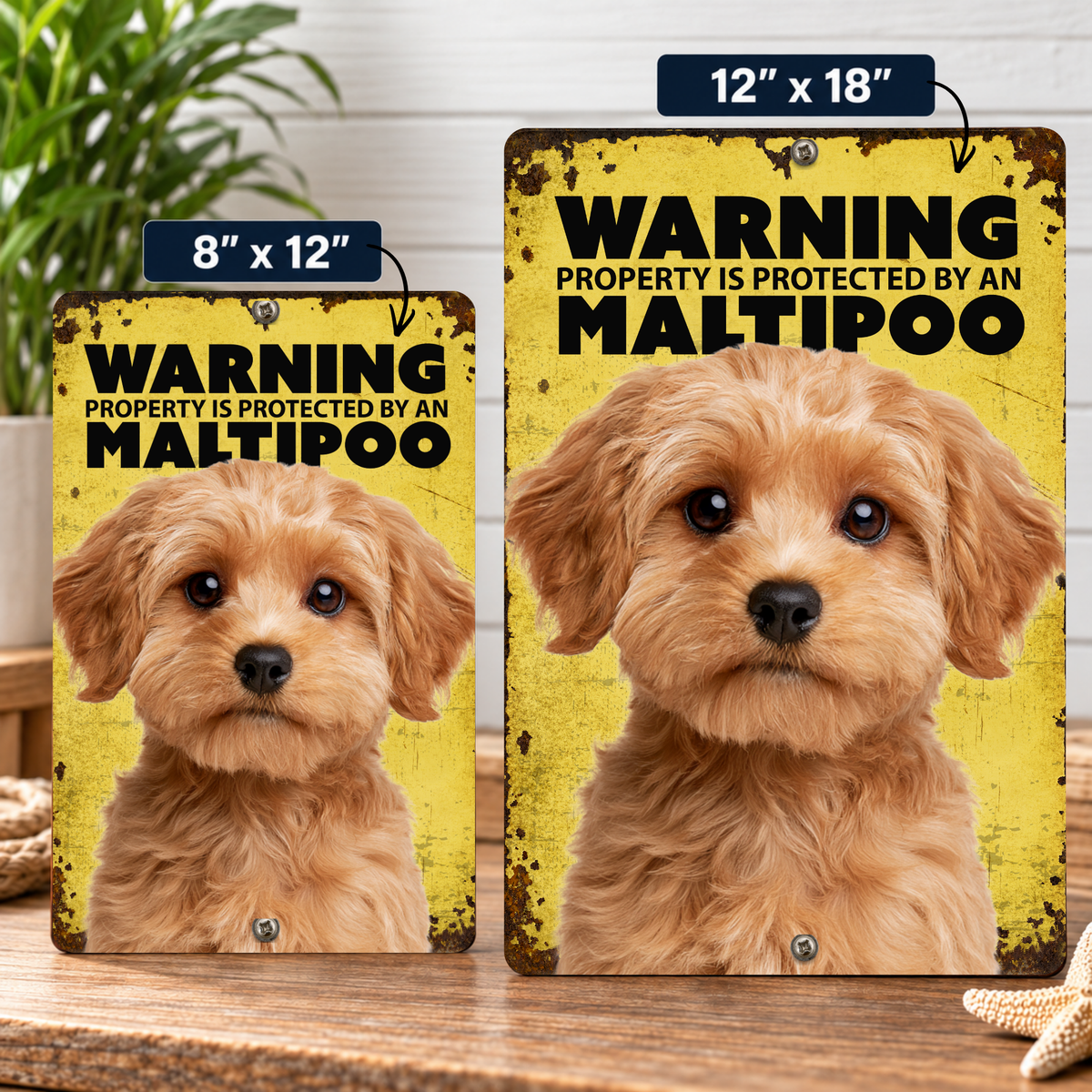 Warning Maltipoo Aluminum Sign