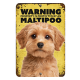 Warning Maltipoo Aluminum Sign