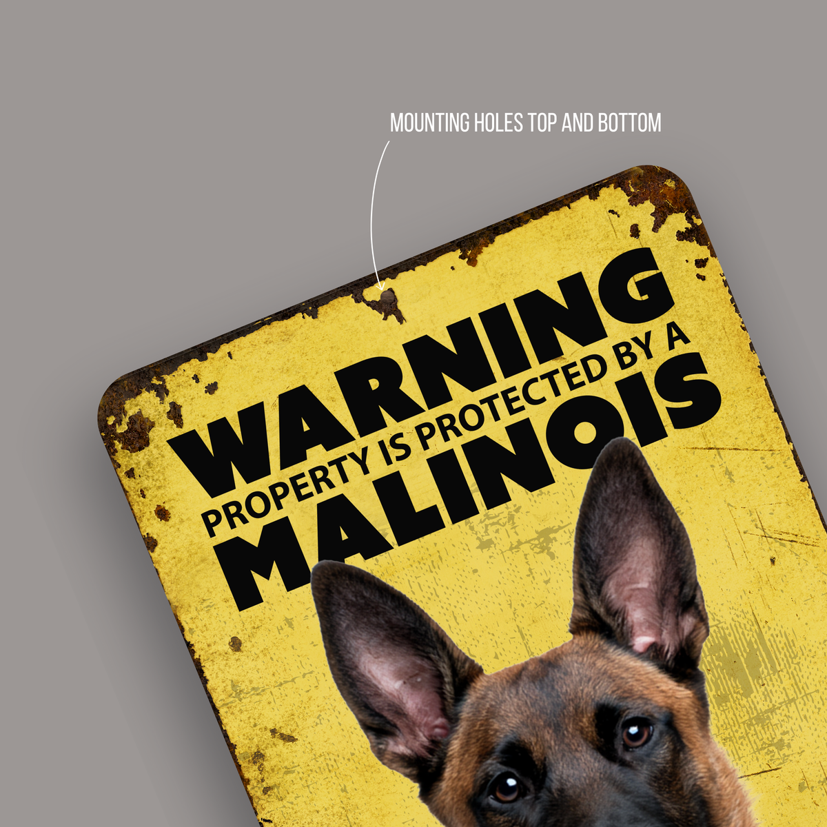 Warning Malinois Aluminum Sign