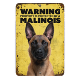 Warning Malinois Aluminum Sign