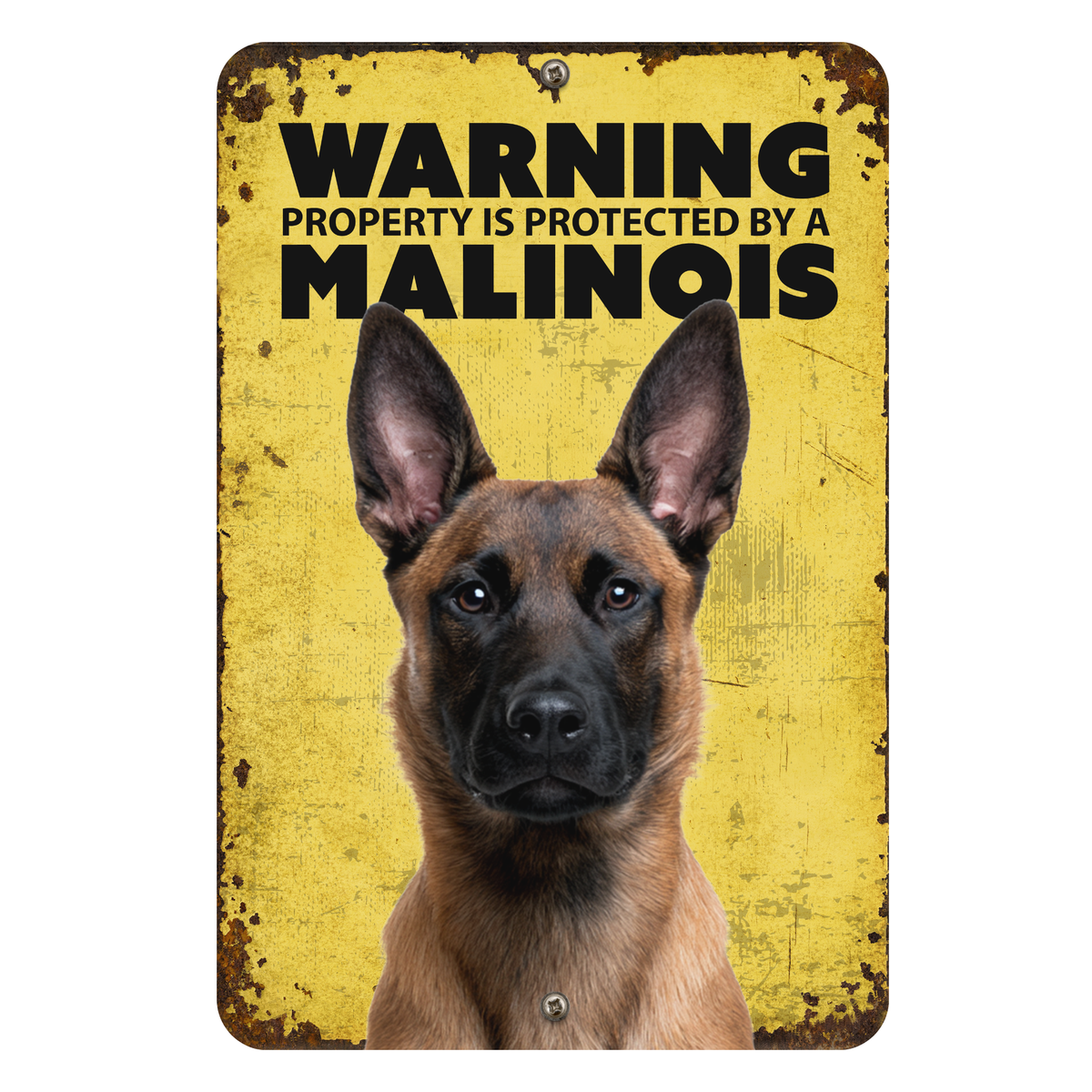 Warning Malinois Aluminum Sign