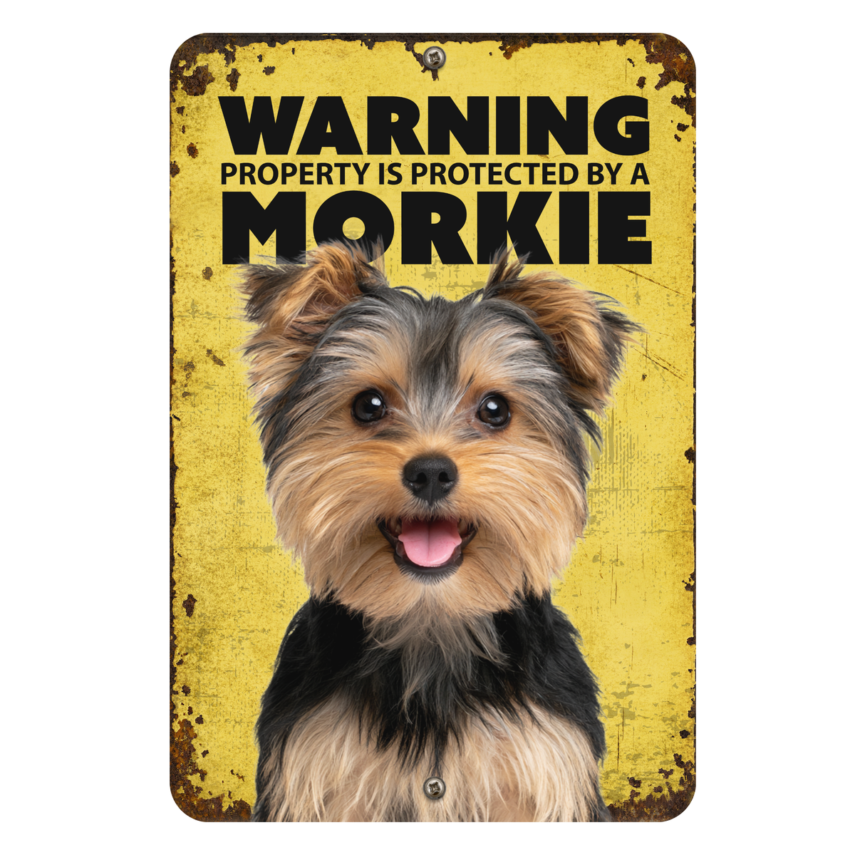 Warning Morkie Aluminum Sign