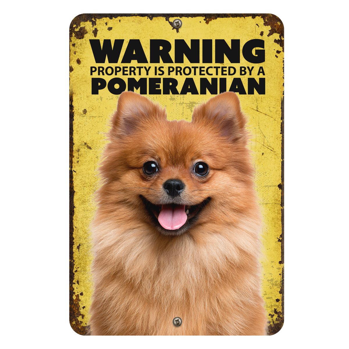 Warning Pomeranian Aluminum Sign