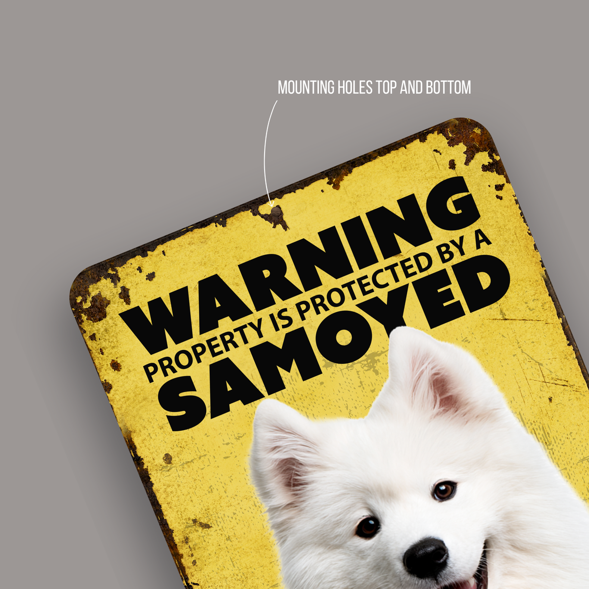 Warning Samoyed Aluminum Sign