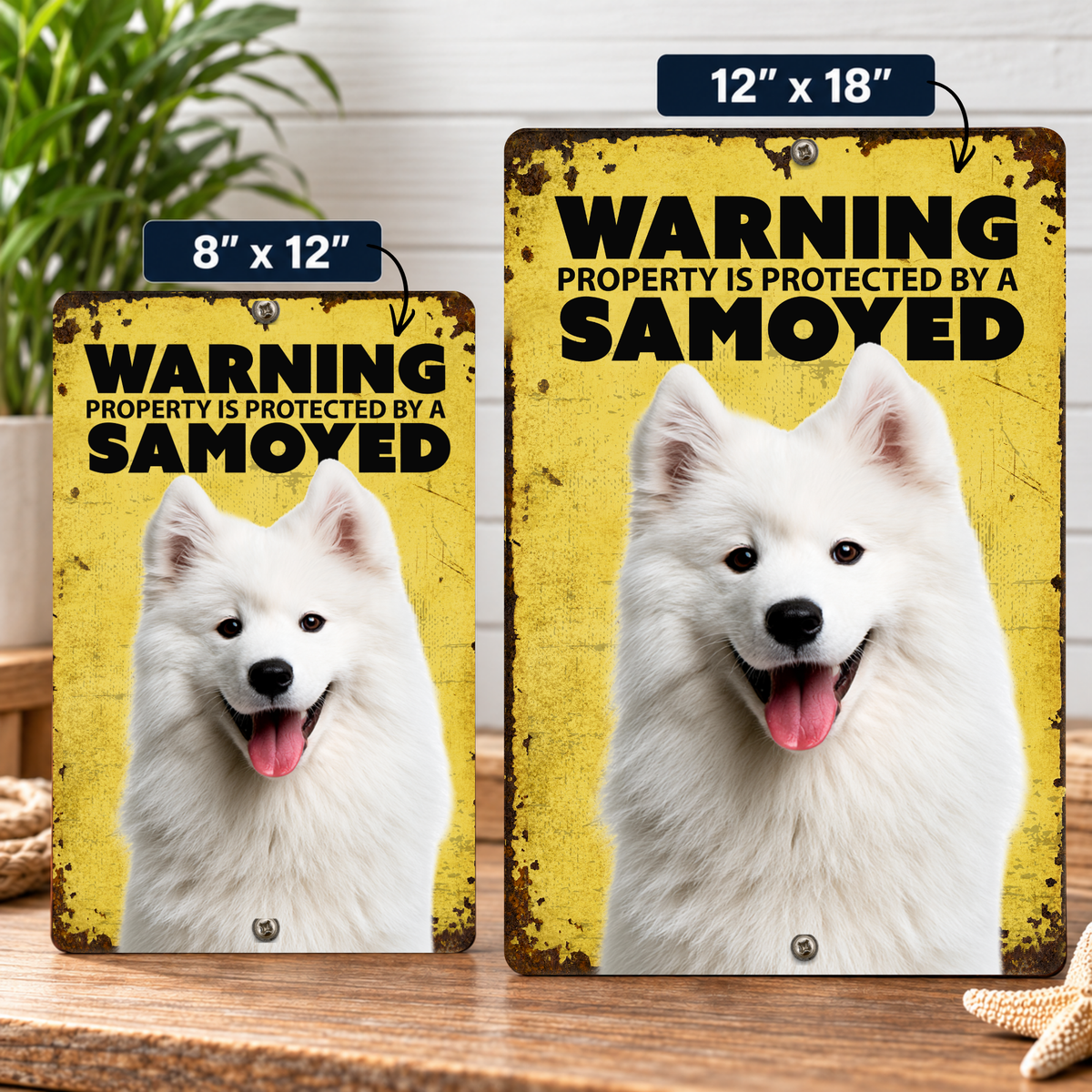 Warning Samoyed Aluminum Sign