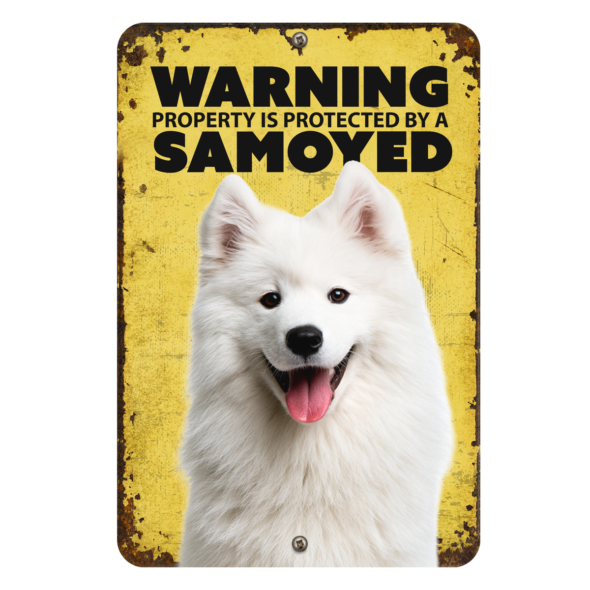 Warning Samoyed Aluminum Sign