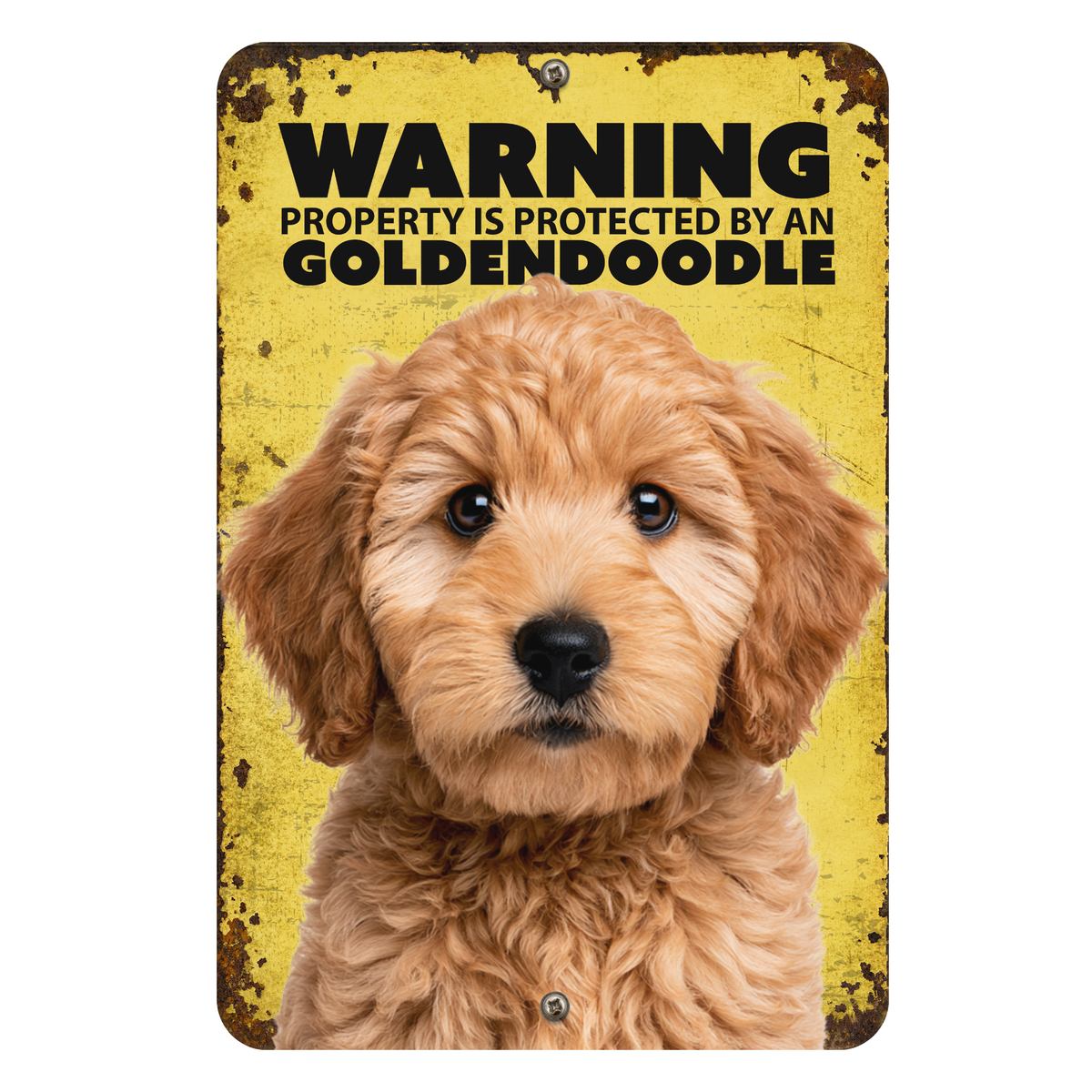 Warning Goldendoodle Aluminum Sign