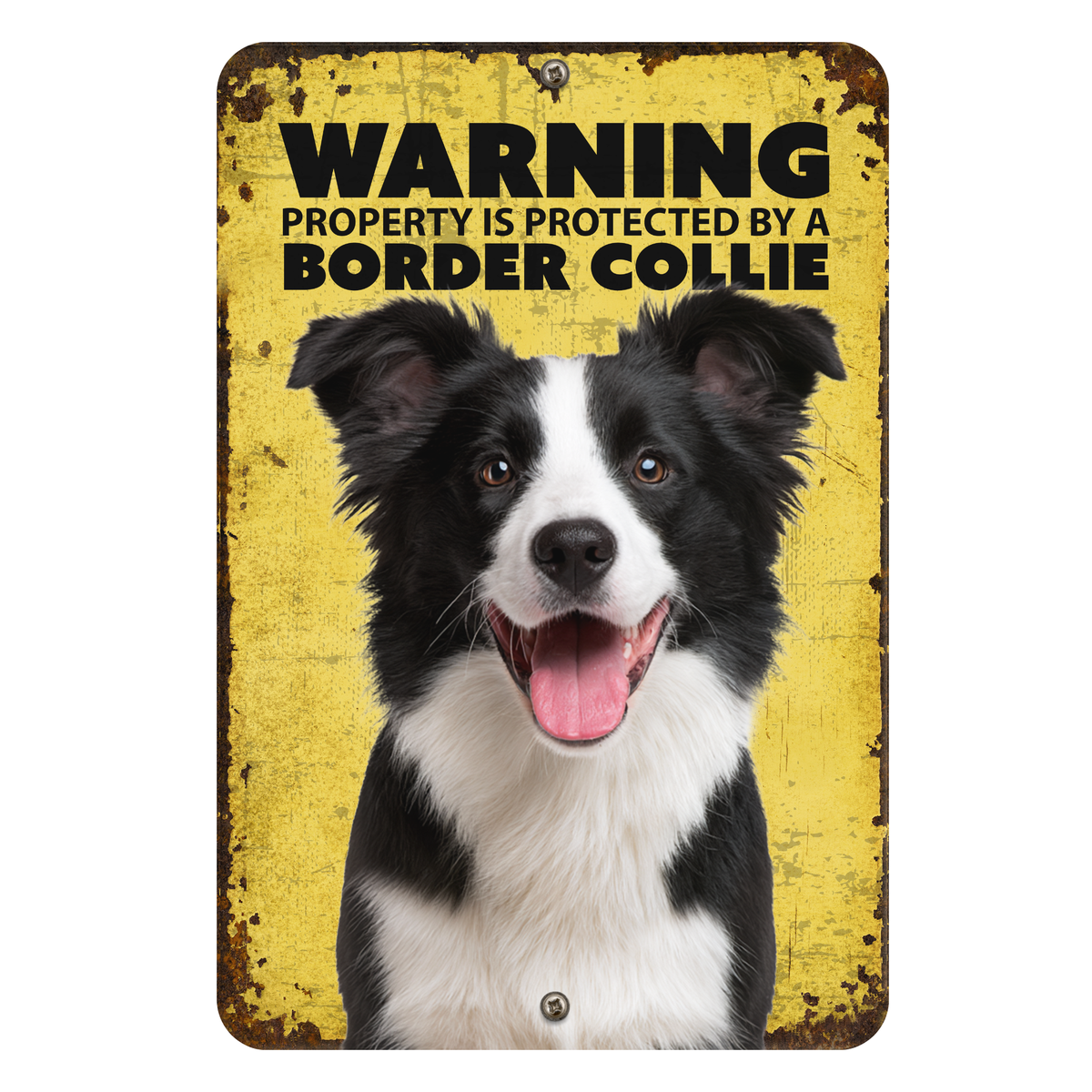 Warning Border Collie Aluminum Sign